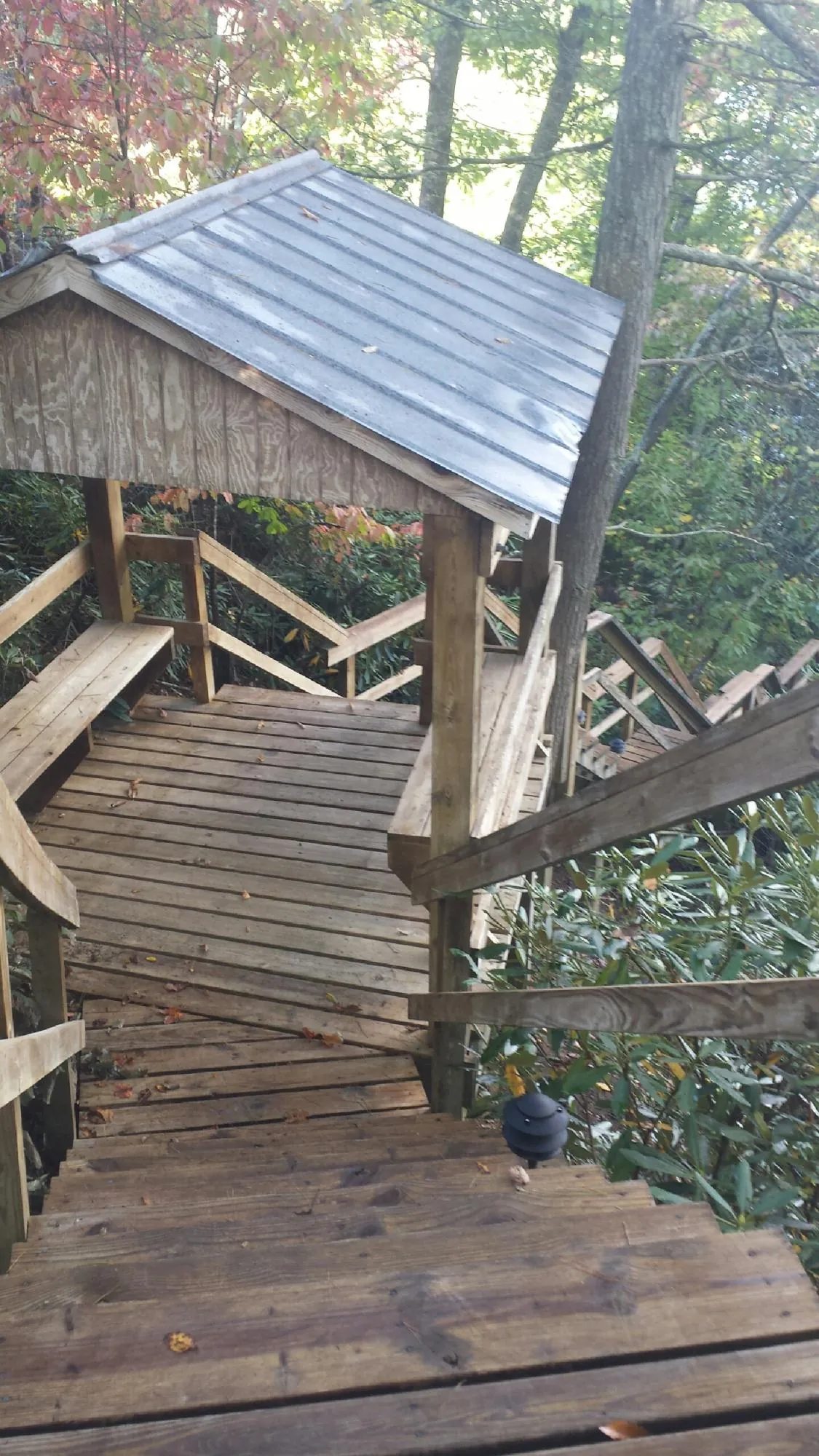 Metal roofed shelter over wooden steps on a wooded walkway — Skylight Repair & Installation work by our crew in Safety Harbor